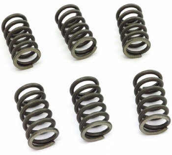 EBC Clutch Springs KLR 96-15