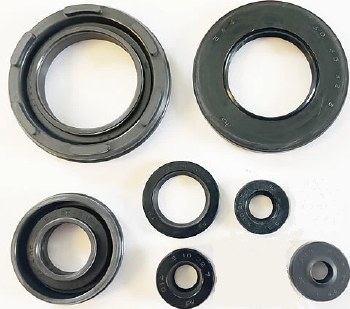 Oil Seal Kit RD400