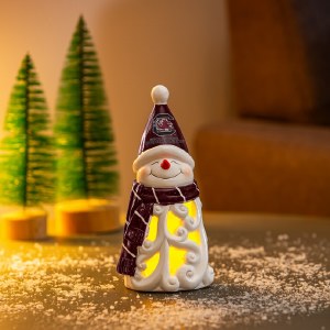 South Carolina Gamecocks 8" LED Desktop Snowman