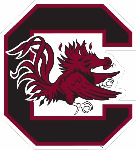 South Carolina Gamecocks 3