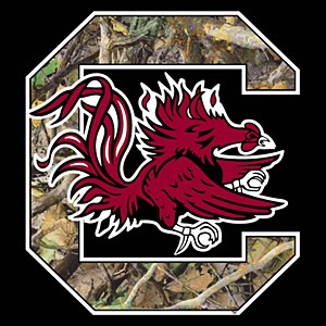 South Carolina Gamecocks 3