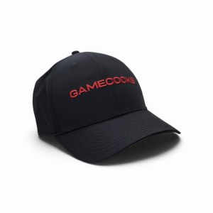 South Carolina Gamecocks NIKE Velcro Adjustable Hat