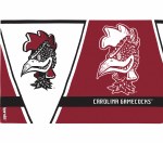 Additional picture of South Carolina Gamecocks 16oz VAULT Logo Tervis Tumbler