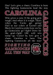Additional picture of South Carolina Gamecocks Fighting Gamecocks T-Shirt SMALL