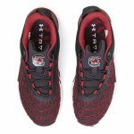 Additional picture of South Carolina Gamecocks Men's TriBase Training Shoes MENS 8