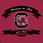 Additional picture of South Carolina Gamecocks Vintage Label T-Shirt SMALL