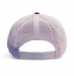 Additional picture of South Carolina Gamecocks LANDSCAPE Leather Patch Adjustable Hat
