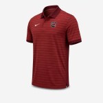 Additional picture of South Carolina Gamecocks 2026 NIKE Men's Dri-FIT Victory Stripe Polo GARNET SMALL