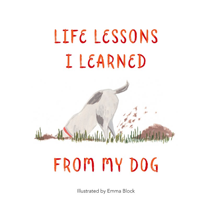 Life Lessons Learned from Dog