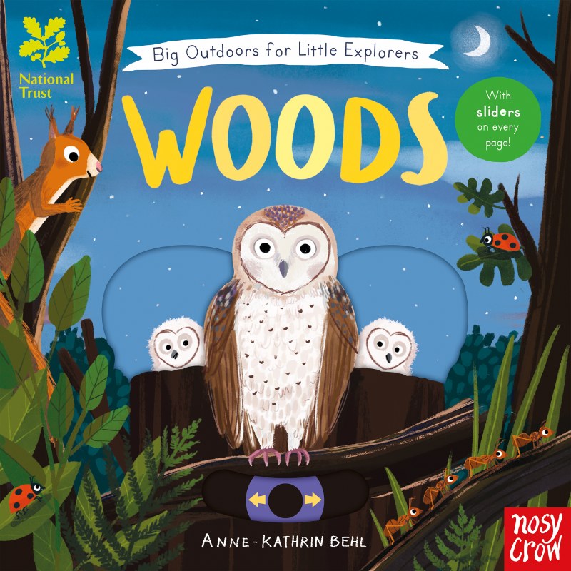 Woods - Big Outdoors