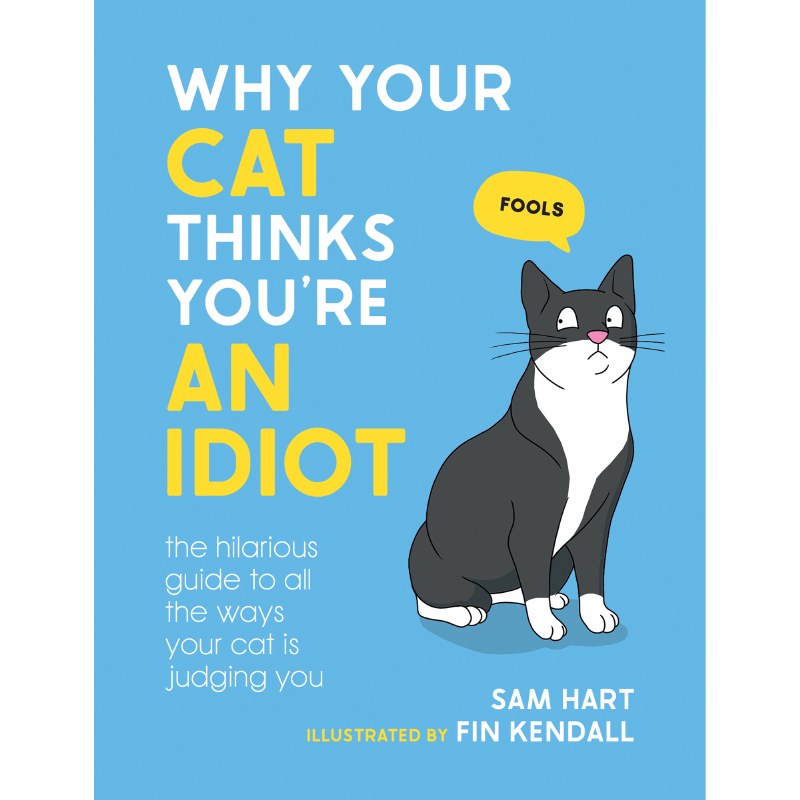 Why Your Cat Thinks You’re an