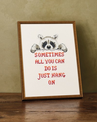 Permin Racoon