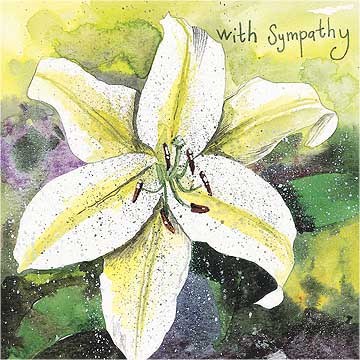 Alex Clark Sympathy Lily