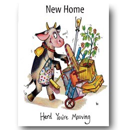 CH Herd You're Mooving