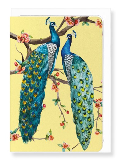 Ezen  Couple of Peacocks