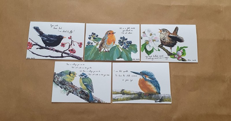 JNC Greeting Card Pack Birds