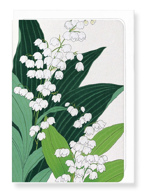Ezen  Lily of the Valley
