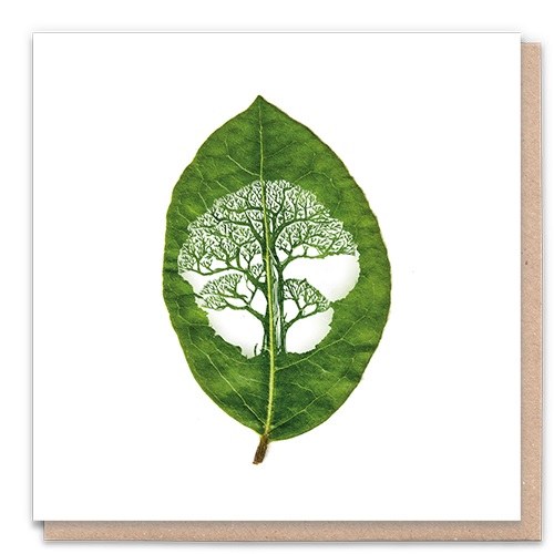 1 Tree Tree