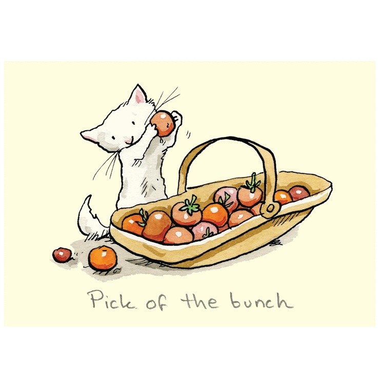 Two Bad Mice Pick of the Bunch
