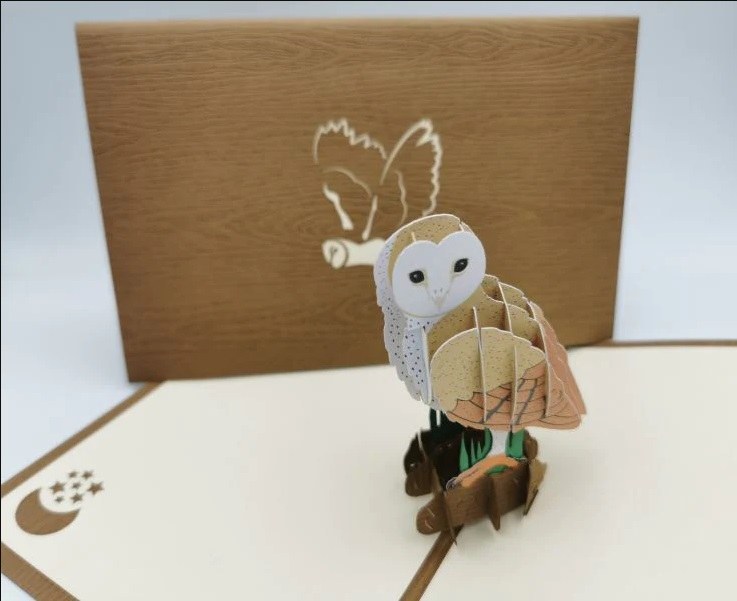 Paperbear Barn Owl