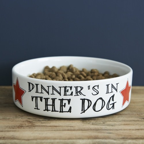 Pet Bowl Dinner's in the Dog