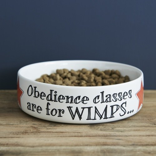 Pet Bowl Obedience Classes