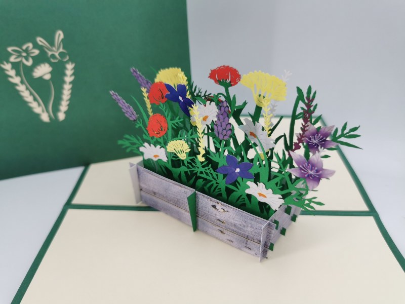 Paperbear Wildflowers