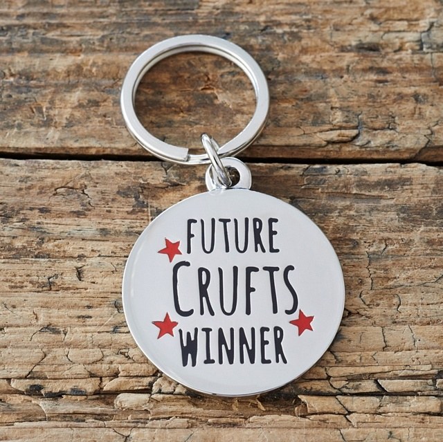 Dog Tag Future Crufts Winner!