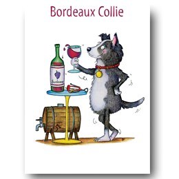 CH Bordeaux Collie