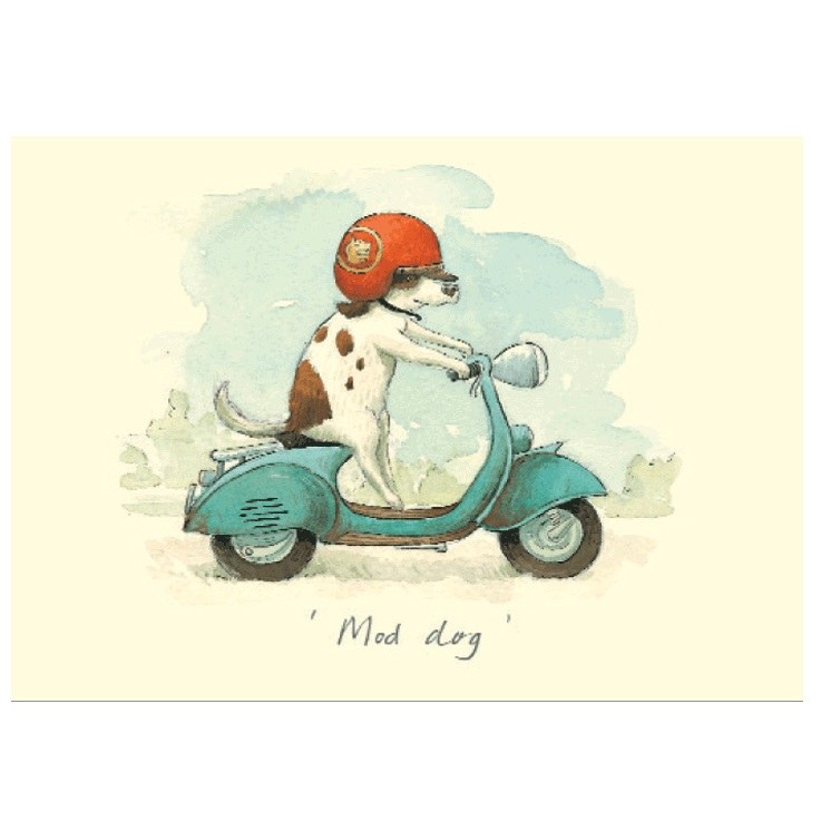 Two Bad Mice Mod Dog