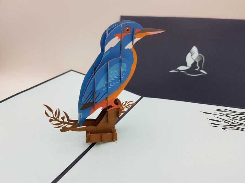 Paperbear Kingfisher