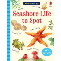 Mini Seashore Life to Spot