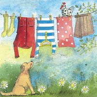 Alex Clark Washing Line