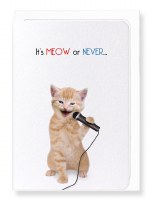 Ezen It's Meow or Never