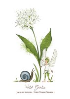 BFF Wild Garlic