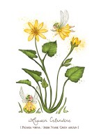 BFF Lesser Celandine