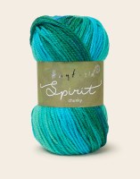 Hayfield Spirit Chunky 433 Cha