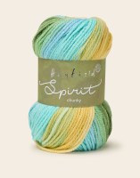 Hayfield Spirit Chunky 434 Spr