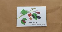 JNC Blackberries Greeting Card