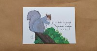 JNC Grey Squirrel Greeting Car