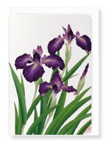 Ezen  Purple Iris