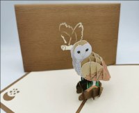 Paperbear Barn Owl