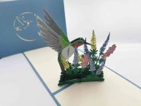 Paperbear Hummingbird
