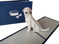 Paperbear Labrador