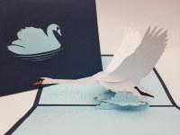 Paperbear Swan