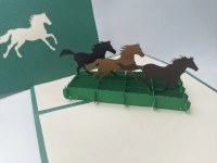 Paperbear Wild Horses