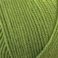 Stylecraft Special dk 2176 Lea