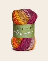 Hayfield Spirit Chunky 405 Cas