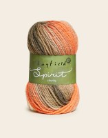 Hayfield Spirit Chunky 406 Emb