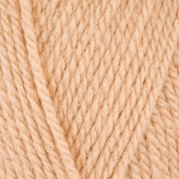 Stylecraft 400g Aran 5507 Cham